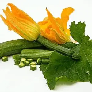 Courges/Courgettes